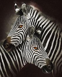 Zebra's modern schilderij