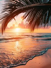 Ondergaande zon op het strand met palmboom