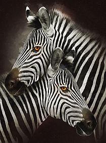 Zebra's modern schilderij