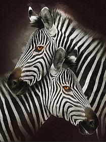 Zebra's modern schilderij