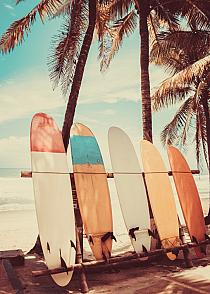 Surfplanken met palmbomen