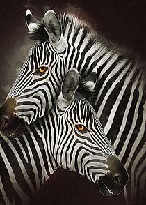 Zebra's modern schilderij