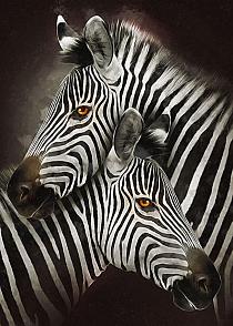 Zebra's modern schilderij