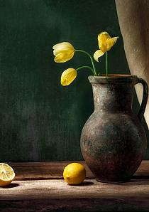 Stilleven citroen en tulp