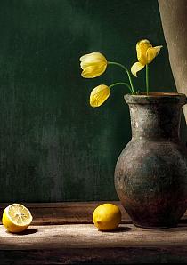 Stilleven citroen en tulp