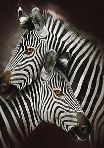 Zebra's modern schilderij