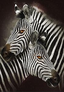 Zebra's modern schilderij