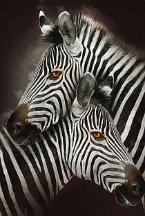 Zebra's modern schilderij