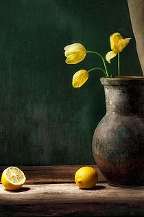 Stilleven citroen en tulp