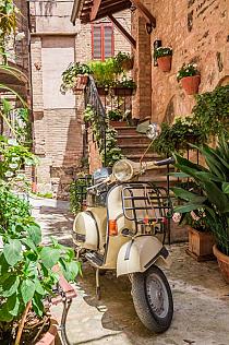 14143 op vintage scooter in itali   80x120