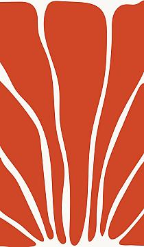 17250 op abstracte bloemenposter  8 70x120