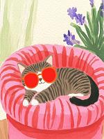 Relaxende kat met zonnebril