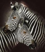 Zebra's modern schilderij