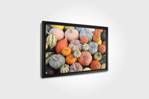 Foto op canvas