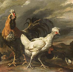Een haan, een kip en ander pluimvee, Pieter Jansz. Van Ruyven, 1670 - 1690