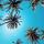 Hoge palmbomen in helderblauwe lucht