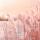 Winters landschap met roze gloed
