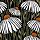 17922 ol handgetekend patroon met bloemen 120x90
