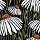 17925 ol handgetekend patroon met bloemen 150x100