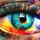 5856 ol oog kleur 100x50