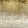 7051 ol het regent goud 200x150