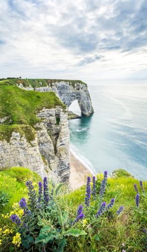 Kliffen van Etretat, Normandië, Frankrijk