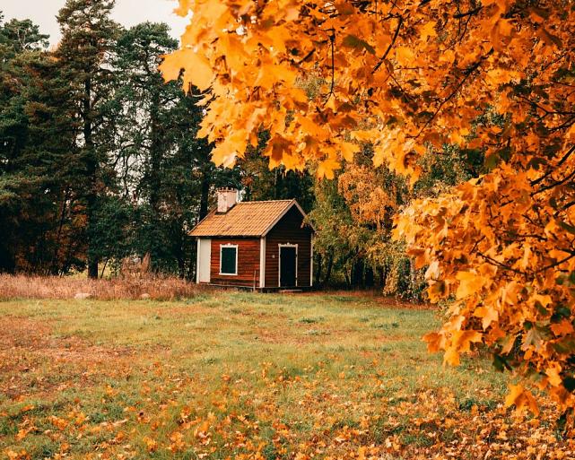 Huisje in bos met herfstachtige bomen