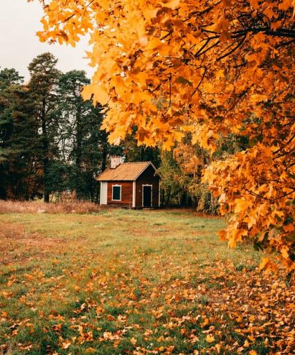 Huisje in bos met herfstachtige bomen