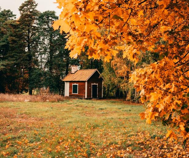 Huisje in bos met herfstachtige bomen