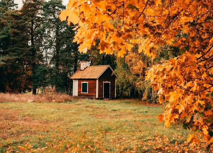 Huisje in bos met herfstachtige bomen