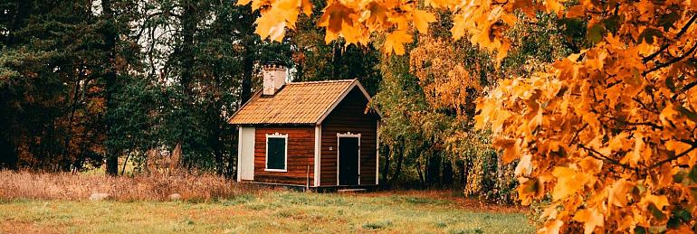 Huisje in bos met herfstachtige bomen