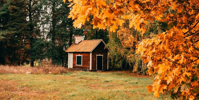 Huisje in bos met herfstachtige bomen