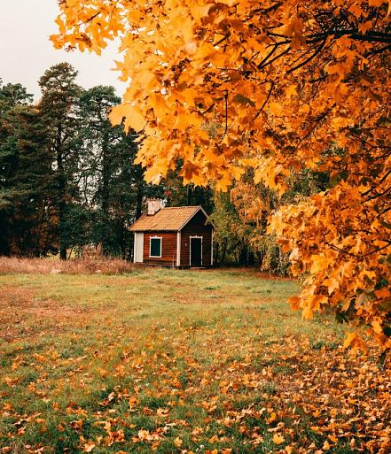 Huisje in bos met herfstachtige bomen