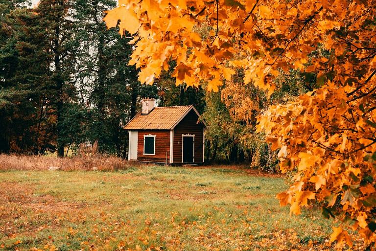 Huisje in bos met herfstachtige bomen