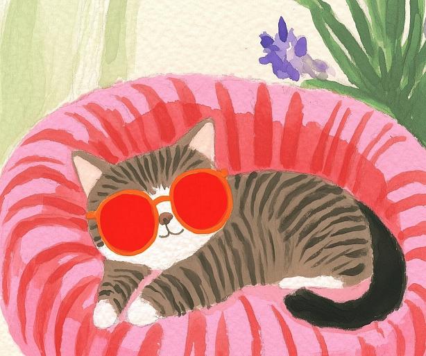 Relaxende kat met zonnebril