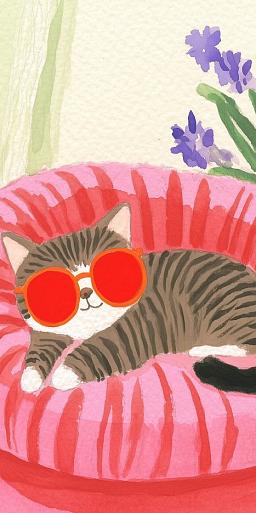Relaxende kat met zonnebril