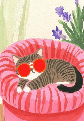 Relaxende kat met zonnebril