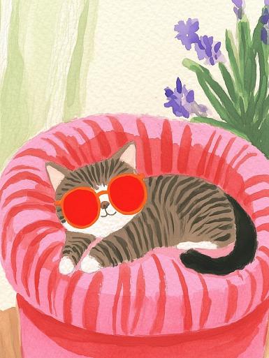 Relaxende kat met zonnebril