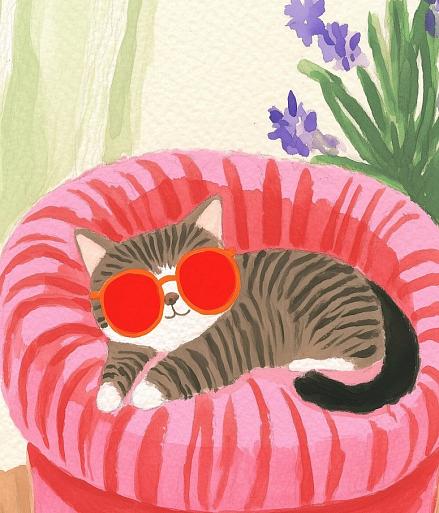 Relaxende kat met zonnebril
