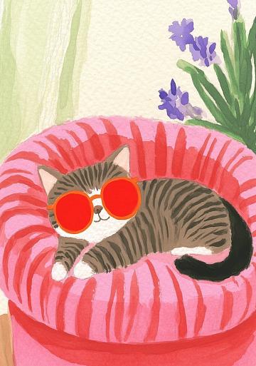 Relaxende kat met zonnebril