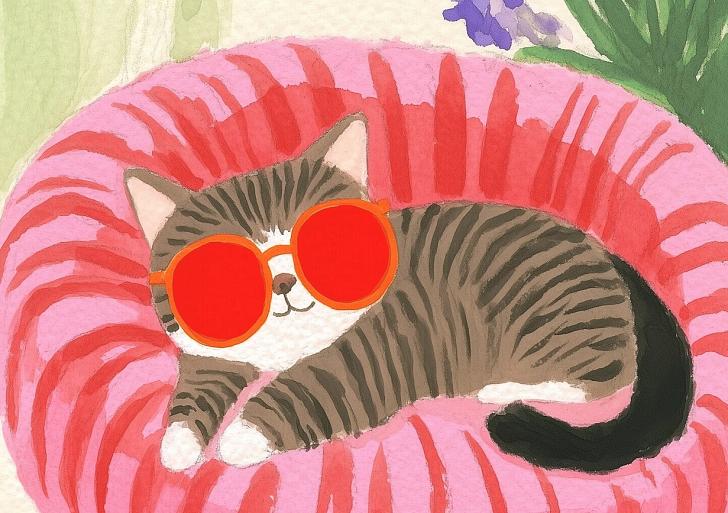 Relaxende kat met zonnebril