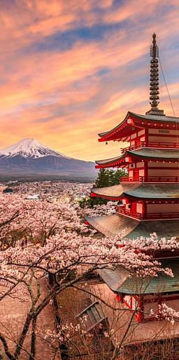 Berg Fuji en de Vredespagode, Japan