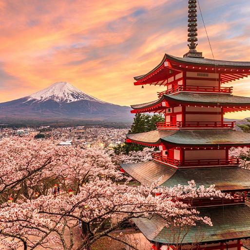 Berg Fuji en de Vredespagode, Japan