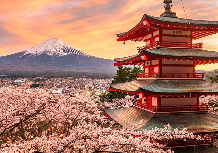 Berg Fuji en de Vredespagode, Japan
