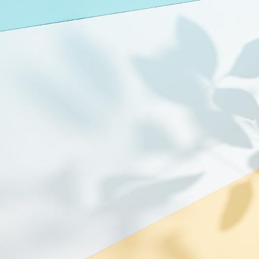 Schaduw van bladeren