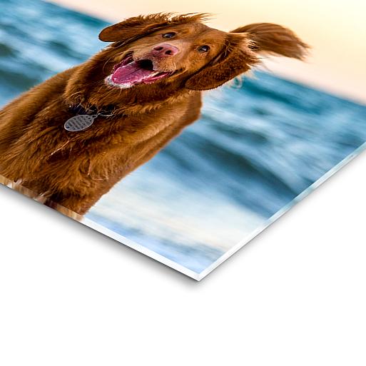 Foto op plexiglas