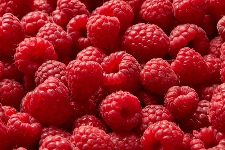 Rijpe frambozen