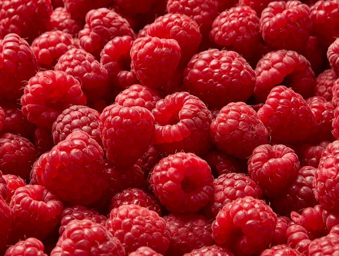Rijpe frambozen