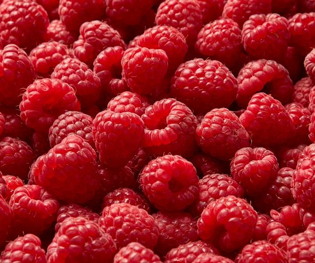 Rijpe frambozen