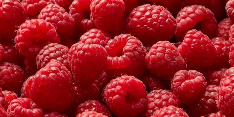 Rijpe frambozen